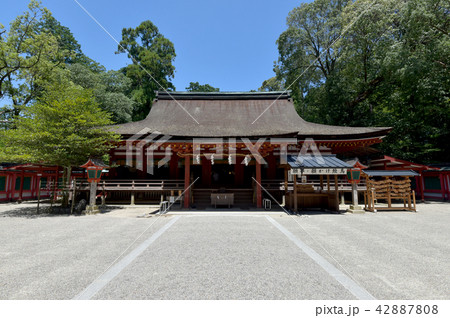 石上神宮 拝殿 石上神宮 拝殿 42887808