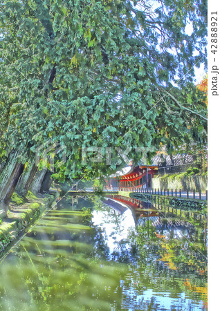 東大寺　堀 42888921