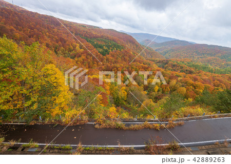 Jogakura mountain range in beautiful autumn season Jogakura mountain range in beautiful autumn season 42889263