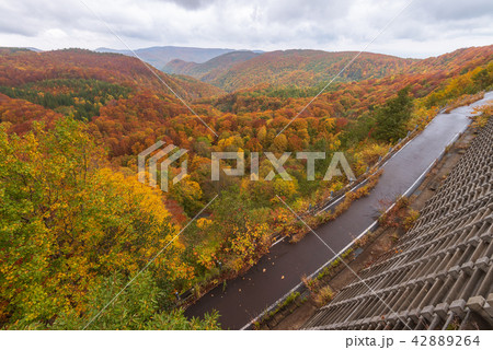 Jogakura mountain range in beautiful autumn season 42889264