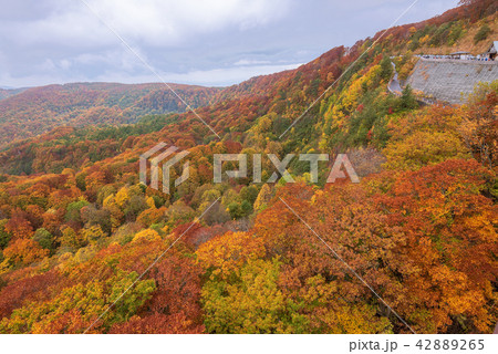 Jogakura mountain range in beautiful autumn season 42889265