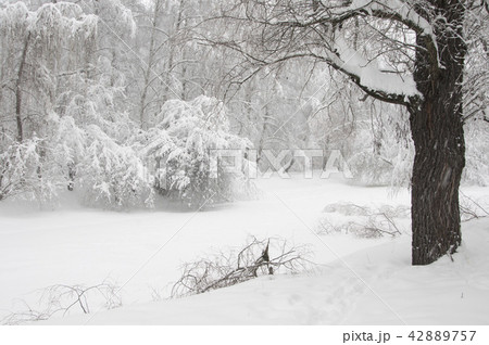 Winter landscape with a pond 42889757