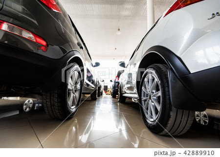 Brand new cars at automotive dealer showroom Brand new cars at automotive dealer showroom 42889910