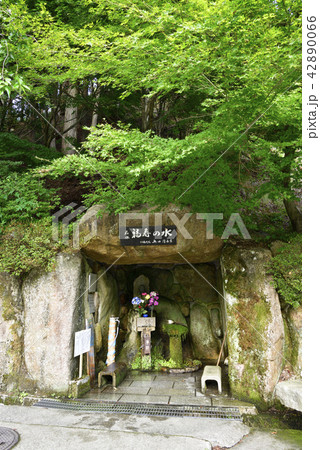 福寿の水(兵庫県豊岡市但東町) 福寿の水(兵庫県豊岡市但東町) 42890066