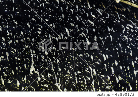 Car wash foam 42890172