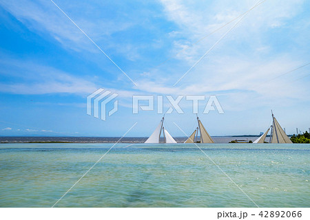 葛西臨海水族園の風景 葛西臨海水族園の風景 42892066