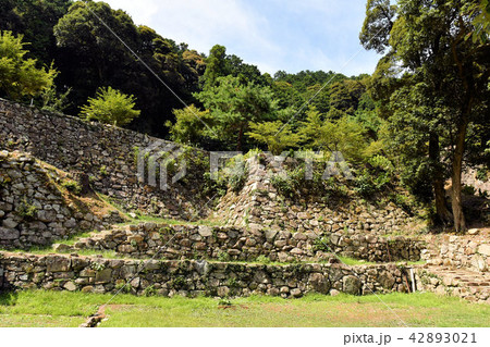 安土城址 42893021