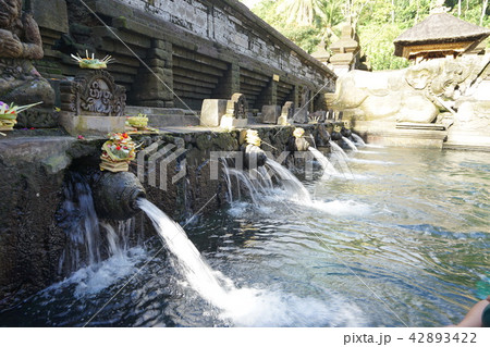 Tirta Empul Temple - Bali (Indonesia) 42893422