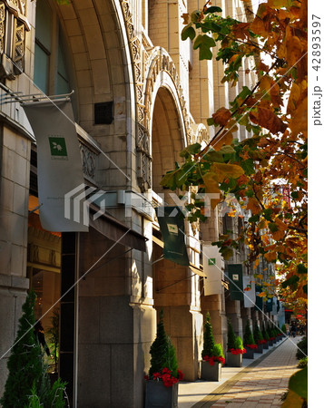 高島屋　東別館 42893597