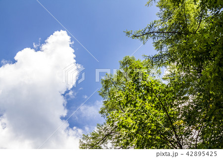 長野県 上高地 42895425