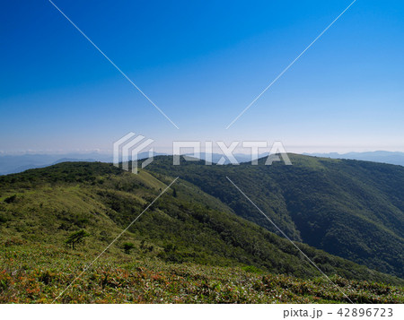 関西百名山　フトウガミネから段ヶ峰 42896723