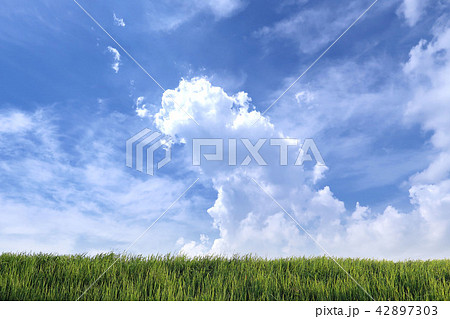 雲　土手 42897303