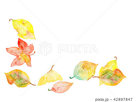紅葉 落ち葉 葉っぱ 落葉 手描き 水彩画 メルヘン ファンタジーのイラスト素材 42897847 Pixta