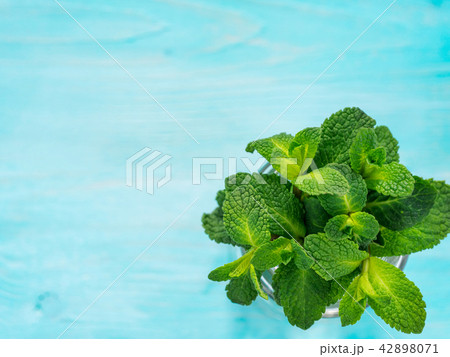 Fresh mint leaf close up on blue background 42898071