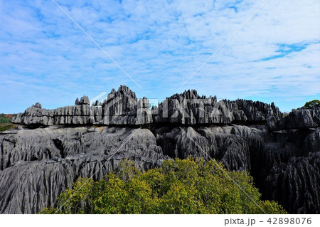 ツィンギ　ベマラ　マダガスカル　Tsingy de Bemaraha in Madagascar 42898076