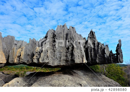 ツィンギ ベマラ マダガスカル Tsingy de Bemaraha in Madagascar ツィンギ ベマラ マダガスカル Tsingy de Bemaraha in Madagascar 42898080