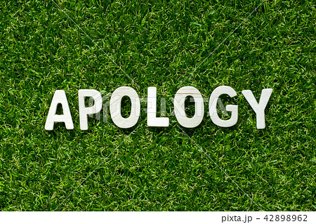 Wood alphabet in word apology on green grass 42898962