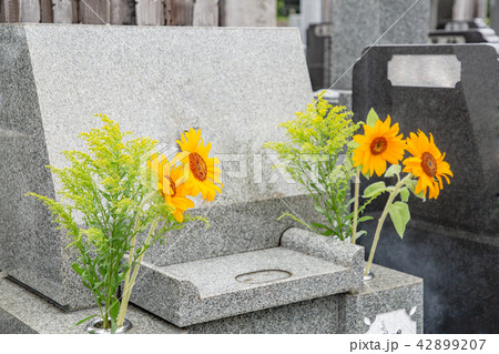 霊園の墓石と花 42899207