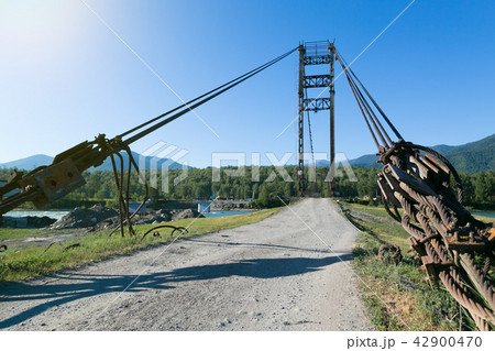 Tightened cables of the suspension bridge. 42900470