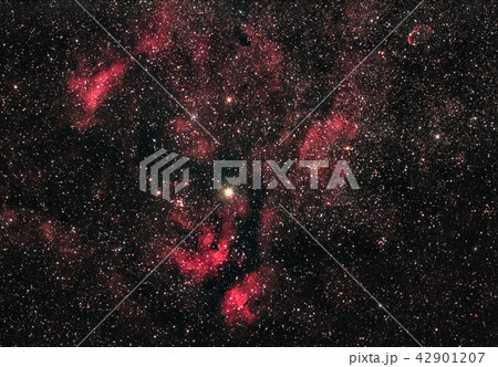 IC1318 はくちょう座サドル周辺 サドル周辺散光星雲 IC1318 はくちょう座サドル周辺 サドル周辺散光星雲 42901207
