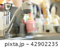 シンク　キッチン 42902235