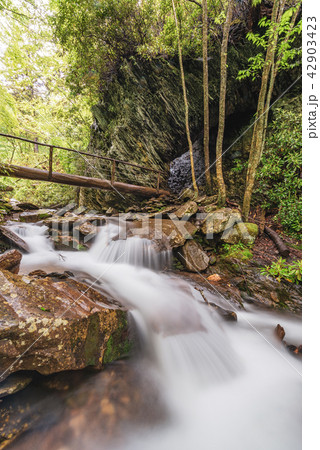 Cascades in the Smoky Mountains Cascades in the Smoky Mountains 42903423
