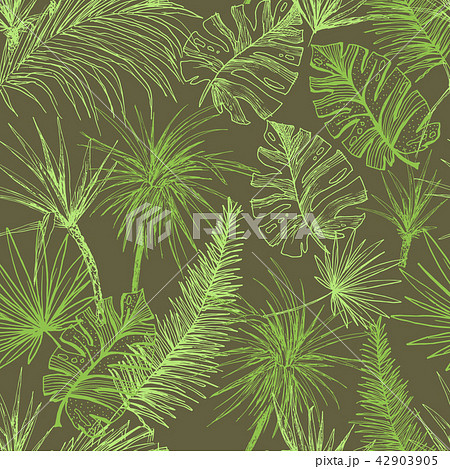 Palmtrees Seamless Pattern. Green coconut or queen palm trees with leaves. Beach and rainforest 42903905