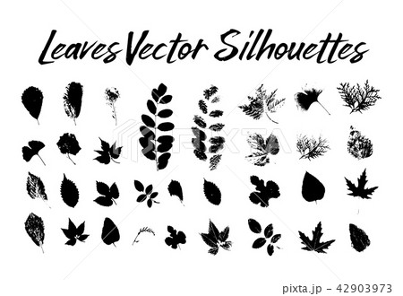 Tree leaves silhouettes. Plants and nature 42903973