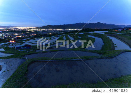 信州姨捨の棚田 42904886