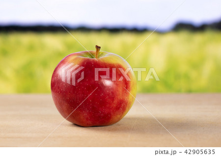 Fresh red apple james grieve with field behind Fresh red apple james grieve with field behind 42905635