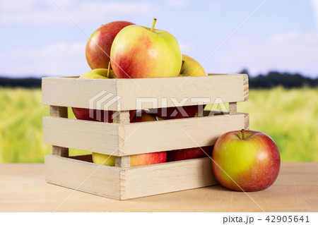 Fresh red apple james grieve with field behind Fresh red apple james grieve with field behind 42905641
