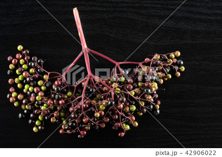 Fresh european black elderberry on black wood 42906022