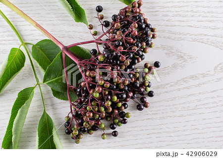 Fresh european black elderberry on grey wood 42906029