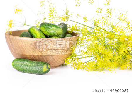Fresh yellow dill flowers isolated on white 42906087