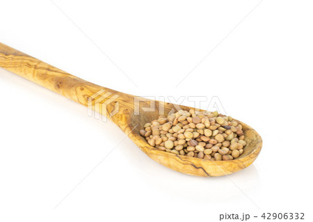 Raw green lentil seeds isolated on white Raw green lentil seeds isolated on white 42906332