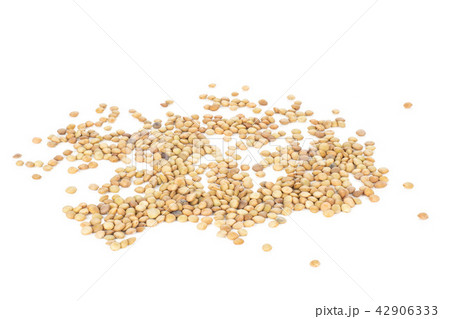 Raw green lentil seeds isolated on white 42906333