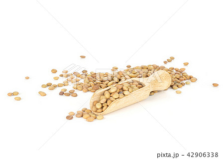 Raw green lentil seeds isolated on white Raw green lentil seeds isolated on white 42906338