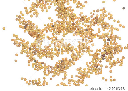 Raw green lentil seeds isolated on white Raw green lentil seeds isolated on white 42906348
