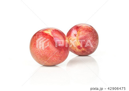 Fresh pluot interspecific plums isolated on white Fresh pluot interspecific plums isolated on white 42906475