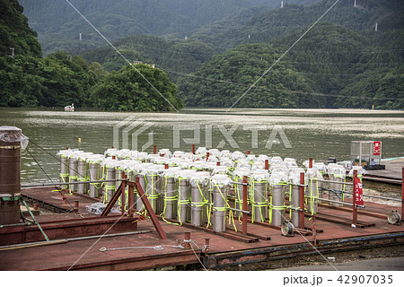 【さがみ湖湖上祭花火大会】 42907035