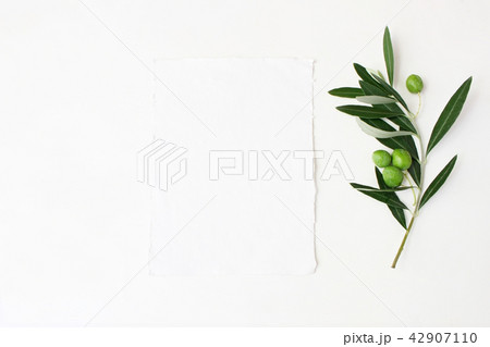 Styled stock photo. Feminine wedding desktop mockup scene with green olive branch and white empty 42907110