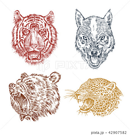 The face of brown grizzly bear, leopard and jaguar. Portrait of the wolf. Jaws of the tiger. Head of 42907582