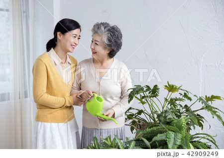 Senior mother and daughter making flower decoration on table. 031 42909249