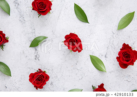 Beautiful flower collection Stock Photo. close up, isolated on background. vertical with copy space. 153 42910133