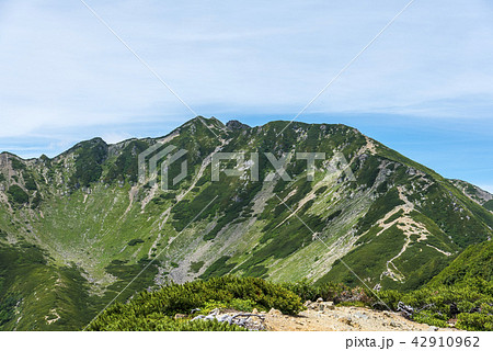 仙丈ヶ岳山頂と稜線 42910962