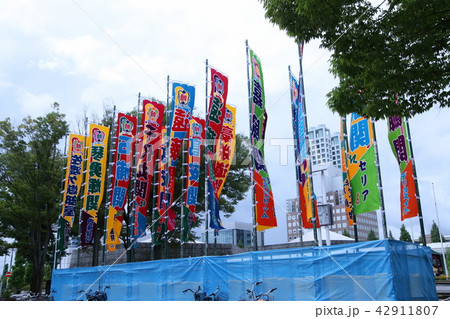 大相撲地方巡業ののぼり 42911807