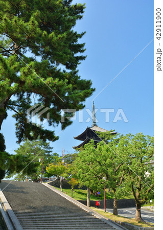 世界遺産・奈良公園 世界遺産・奈良公園 42911900