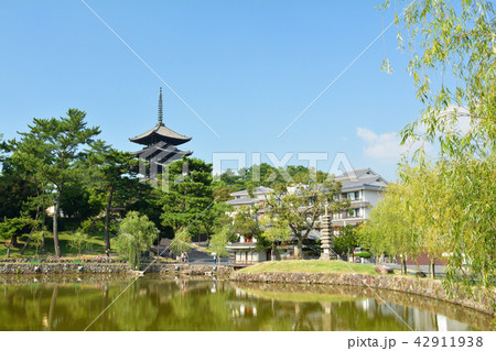世界遺産・奈良公園 世界遺産・奈良公園 42911938