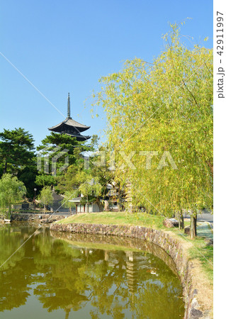 世界遺産・奈良公園 世界遺産・奈良公園 42911997
