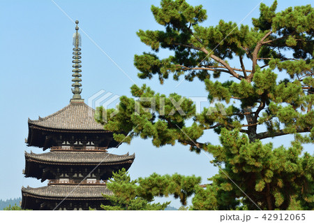 世界遺産・奈良公園 世界遺産・奈良公園 42912065